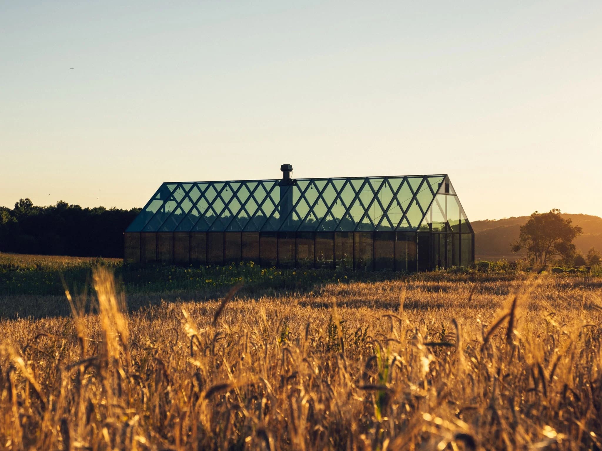 Nordic farm-to-table cuisine spread with local Halland seafood and produce