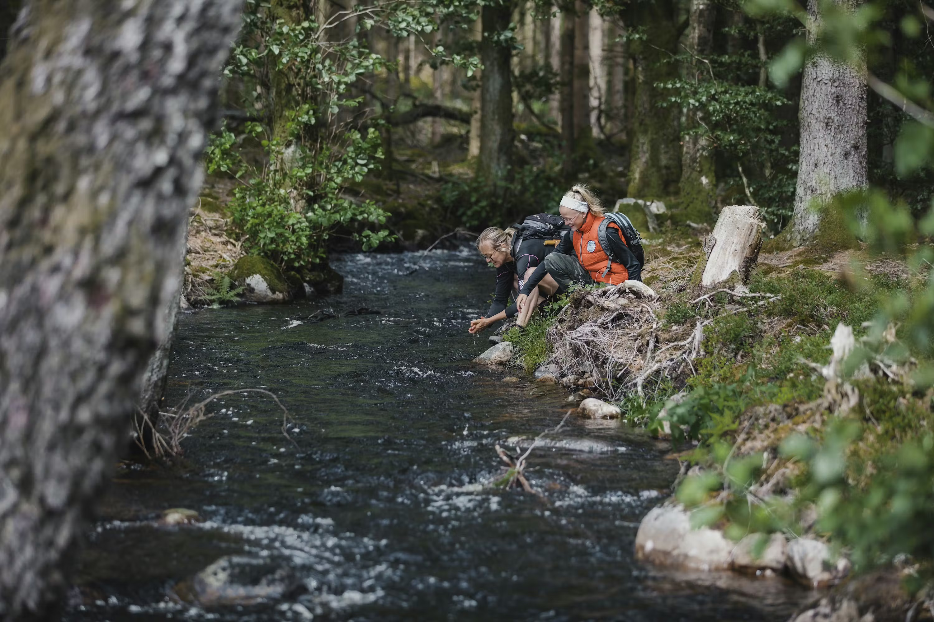 Elderly couple walking in nature